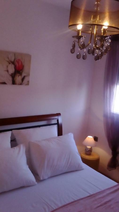Apartment Yelena Rose West Zadar Exterior foto